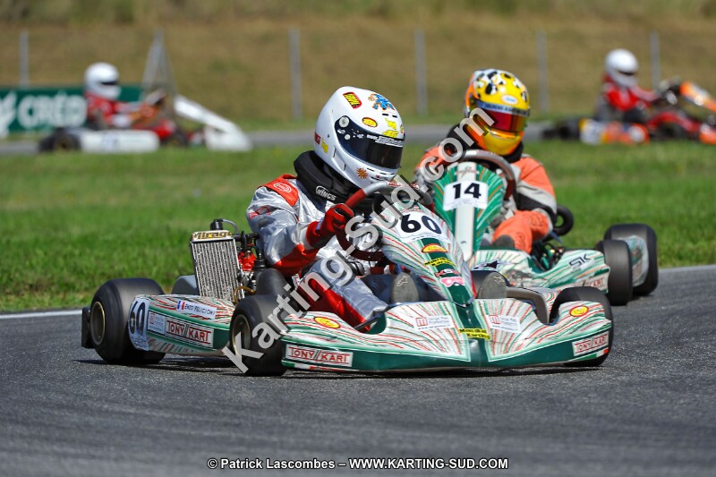 DSC_ (1407).jpg
